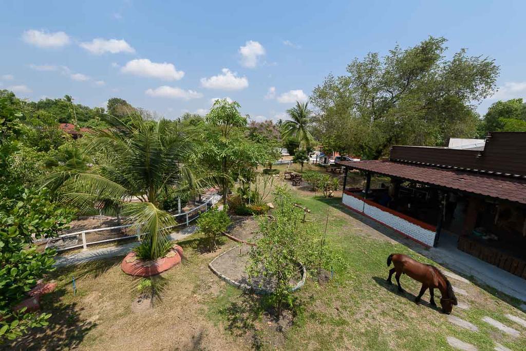 Cowboy Farm Resort Pattaya Ban Huai Yai Εξωτερικό φωτογραφία